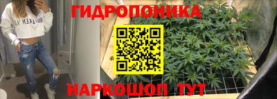 гашик Кимры