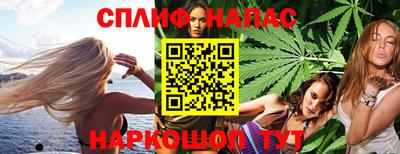 гашик Кимры