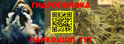 твердый Кингисепп