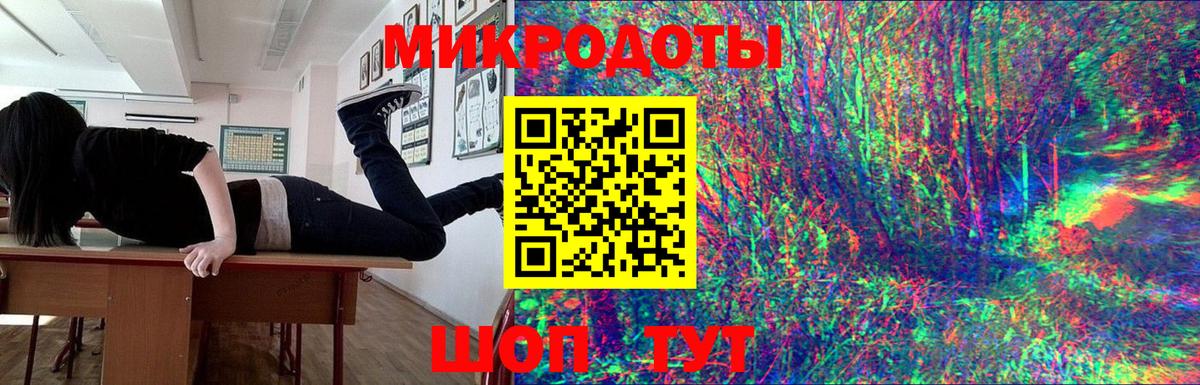 наркотики  Заринск  Псилоцибиновые грибы Psilocybine cubensis 