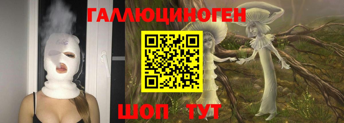 Заринск  Псилоцибиновые грибы Cubensis  Вход с VPN 